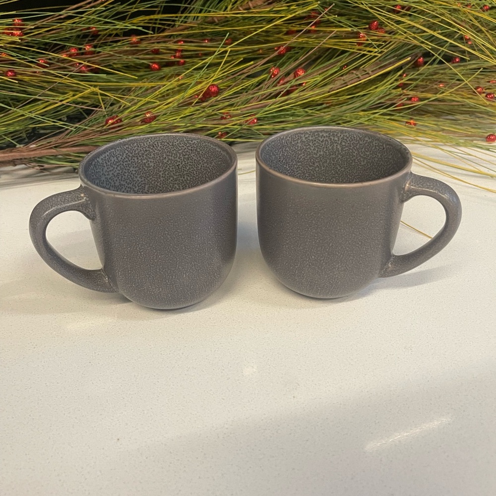 Set of 2 Project 62 Gray Tilley Bronze Stoneware Mug - Discontinued Style